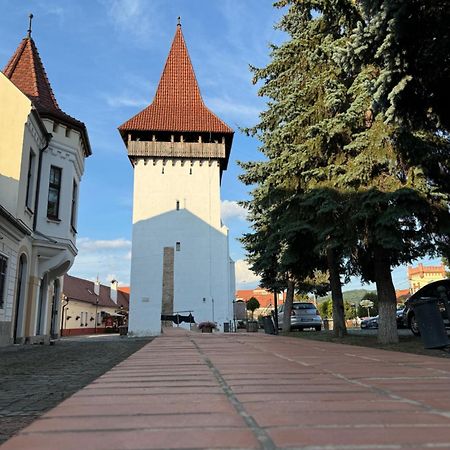 Alexander Cozy Apartment Free Private Parking Медиаш Экстерьер фото