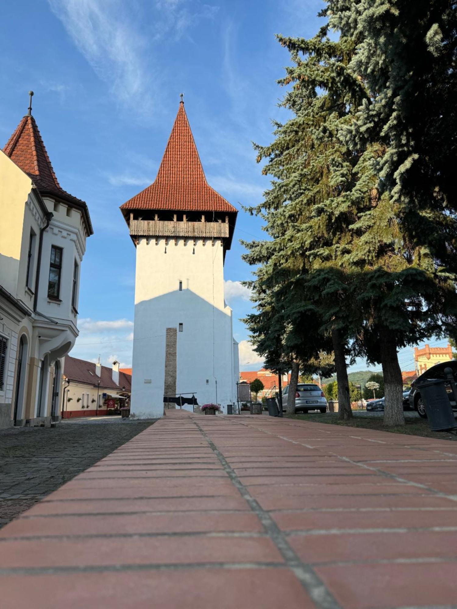 Alexander Cozy Apartment Free Private Parking Медиаш Экстерьер фото